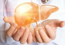 Ήπαρ: Το πασίγνωστο φυτό που αποτρέπει την συσσώρευση λίπους